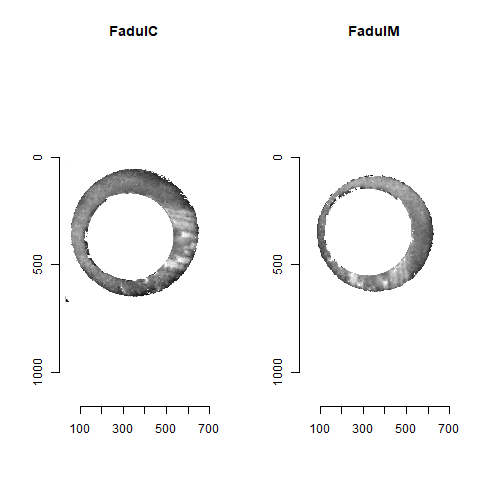 The same pair as above after being incorrectly aligned via the CMC algorithm.