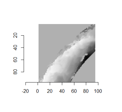 The NA-cropped images with remaining NAs replaced with the image's average pixel values.