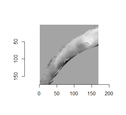 The NA-cropped images with remaining NAs replaced with the image's average pixel values.